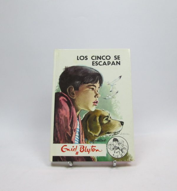 Los cinco se escapan