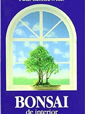 Bonsai de interior