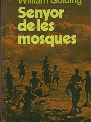 Senyor de les mosques