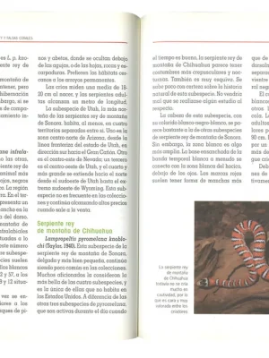 9788430531943_serpientes-rey-y-falsas-corales_front-1.webp Serpientes rey y falsas corales