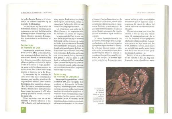 Serpientes rey y falsas corales