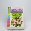 Plantas de interior: 250 trucos