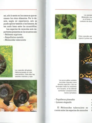 9788430587735_acuario-de-agua-dulce_front-1.webp Acuario de agua dulce