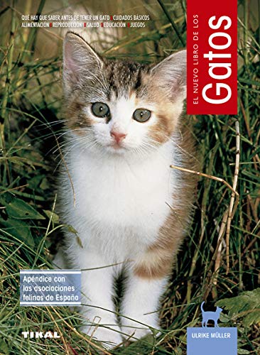 Gatos (spanish edition)
