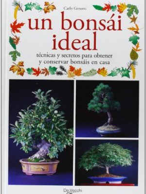 Un bonsai ideal (spanish edition)