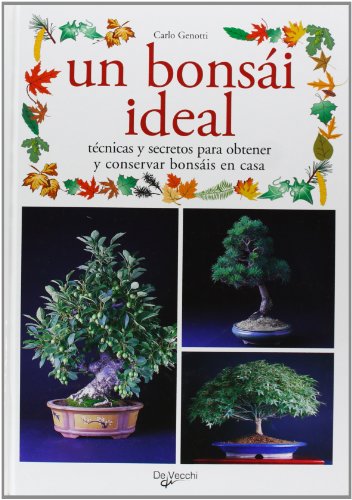 9788431529239_un-bonsai-ideal-spanish-edition_front-3.jpg Un bonsai ideal (spanish edition)