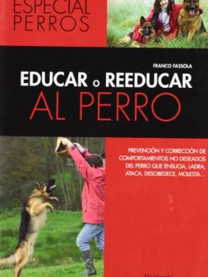 Educar o reeducar al perro
