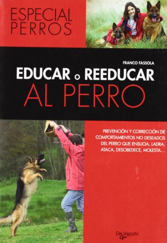 Educar o reeducar al perro
