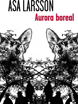 Aurora boreal