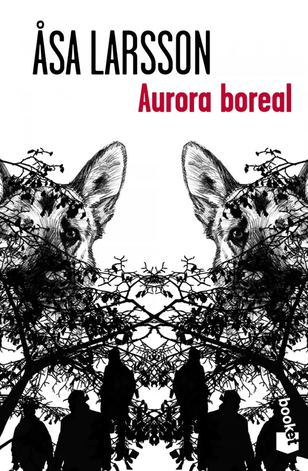 Aurora boreal