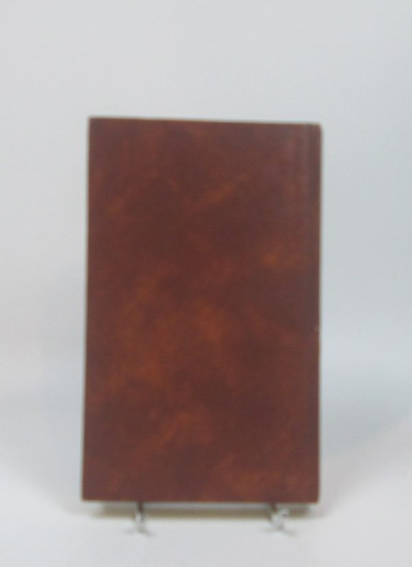 Retrato del artista adolescente