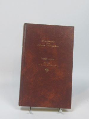 Retrato del artista adolescente