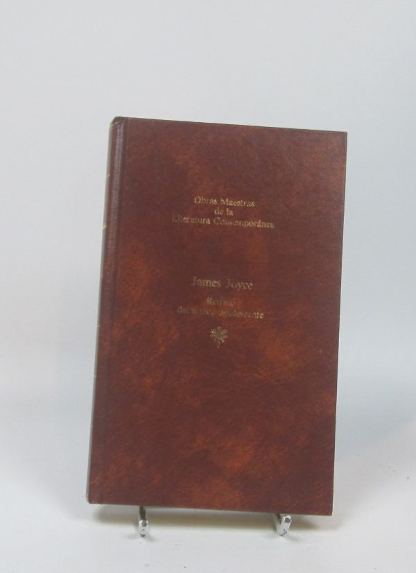 Retrato del artista adolescente