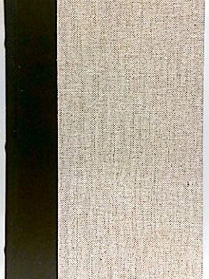 9788433571564_grandes-personajes-miguel-angel_front-3.jpg Grandes personajes. miguel angel.