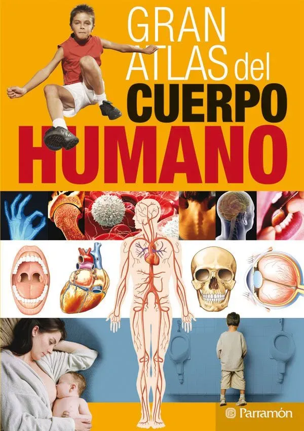 9788434229648_gran-atlas-del-cuerpo-humano_front-3.webp Gran atlas del cuerpo humano