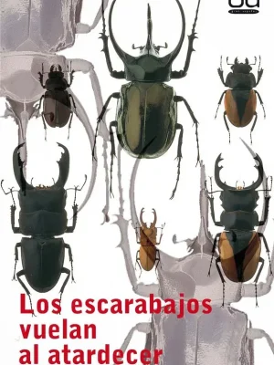 Los escarabajos vuelan al atardecer