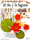 El rio y la laguna (eyewitness series in spanish) (spanish edition)