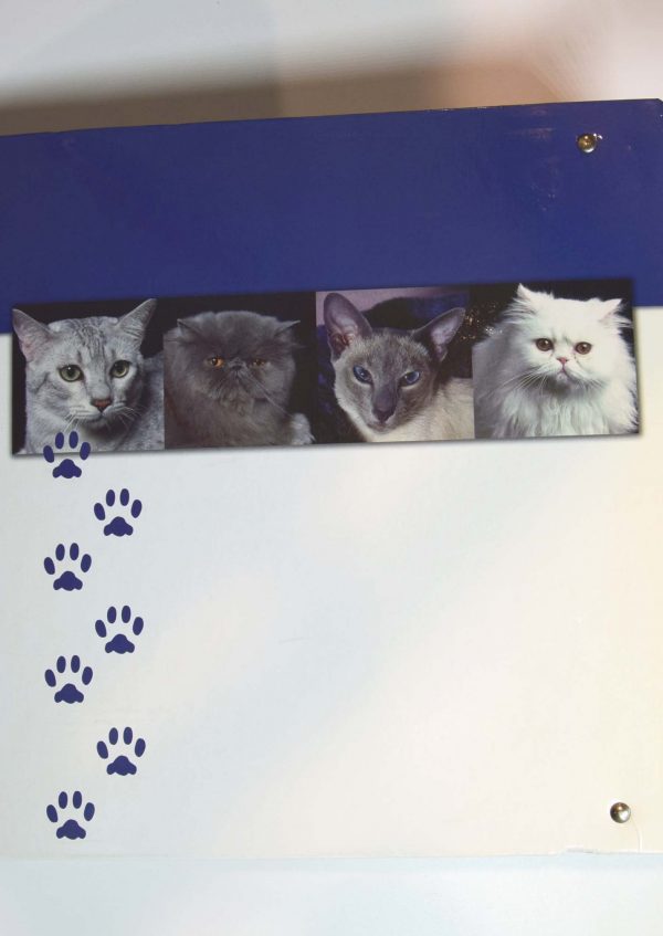 Gatos. conocerlos y amarlos