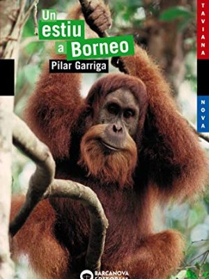 Un estiu a borneo (antaviana blava) (catalan edition)