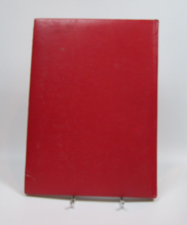 El mundo mágico de los niños, 12