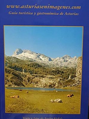 9788461167890_guia-turistica-y-gastronomica-de-asturias_front-1.jpg Guía turística y gastronómica de asturias