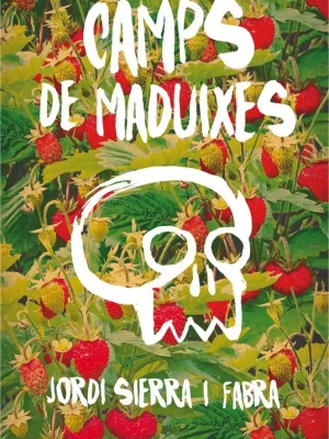 Camps de maduixes