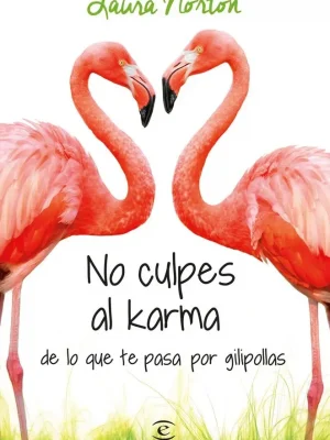 No culpes al karma de lo que te pasa por gilipollas
