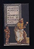 El asombroso viaje de pomponio flato