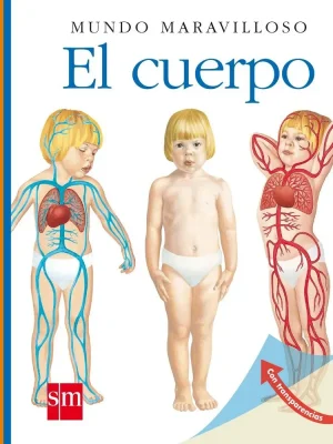 El cuerpo