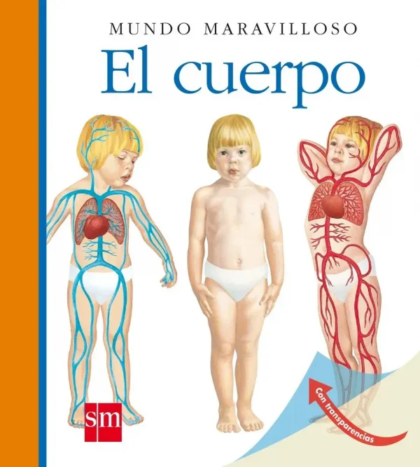 El cuerpo