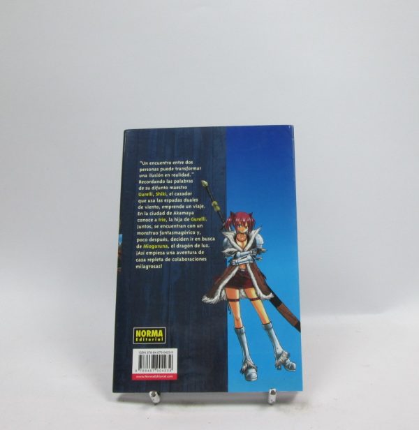 Monster hunter orage 01