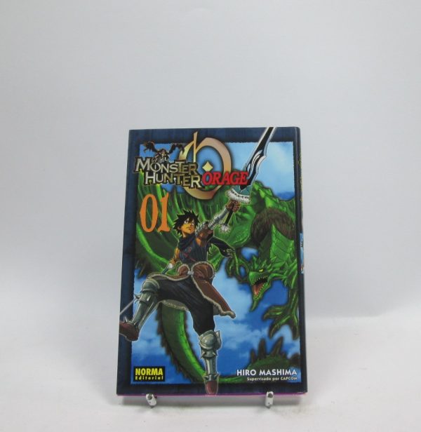 Monster hunter orage 01