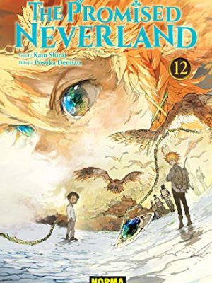 The promised neverland 12