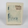 Biblia infantil