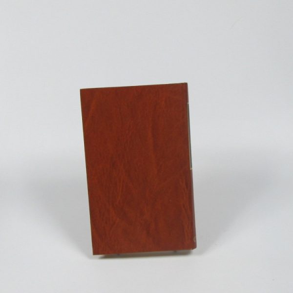 Los costes del desarrollo económico