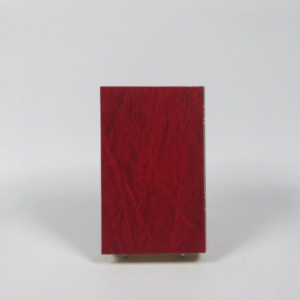 Desnuda por el mundo i