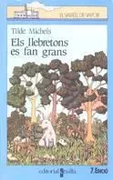 Els llebretons es fan grans