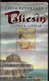 Taliesin (the pendragon cycle, #1)