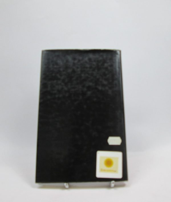 Sangre de vida (memorias de un vampiro 2)