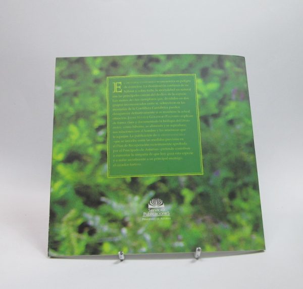 El oso en la escuela