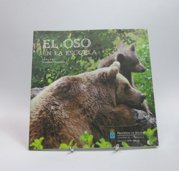 El oso en la escuela