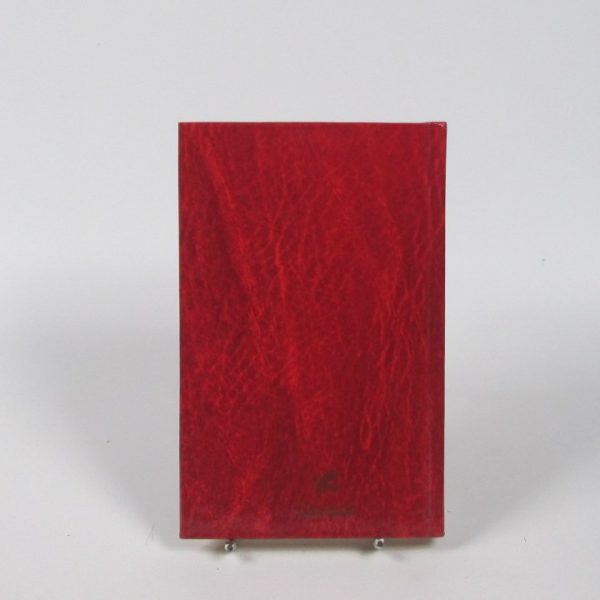 El libro de las miradas