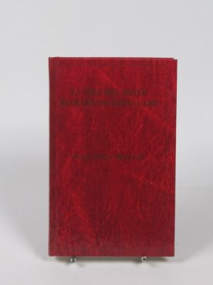 9788479061517_la-vida-del-santo-diamantino-repulgado_front-3.jpg La vida del santo diamantino repulgado