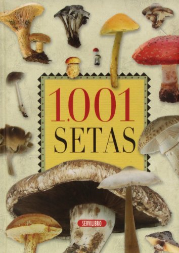 1001 setas