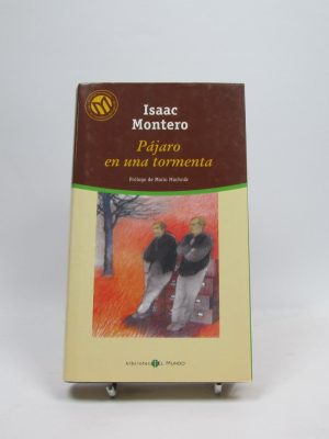 Pájaro en una tormenta