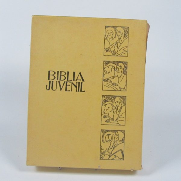 Biblia juvenil