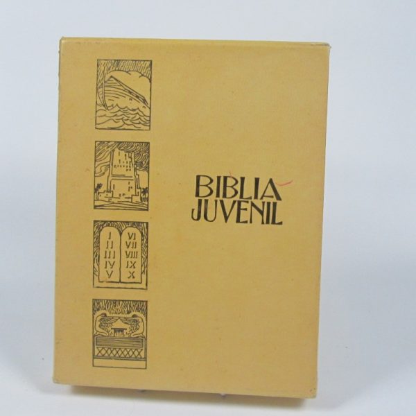 Biblia juvenil
