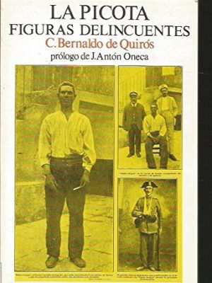 La picota: crímenes y castigos en el país castellano en los tiempos medios y figuras delincuentes (ediciones turner ; 14) (spanish edition)