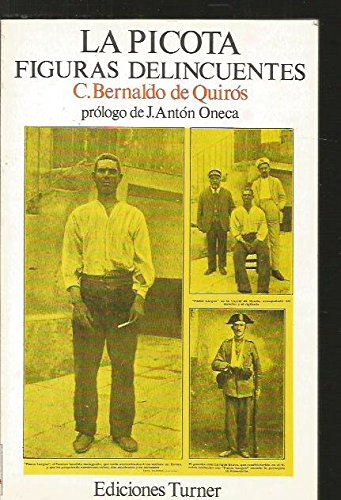 La picota: crímenes y castigos en el país castellano en los tiempos medios y figuras delincuentes (ediciones turner ; 14) (spanish edition)