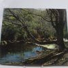 La naturaleza en madrid - Imagen 2